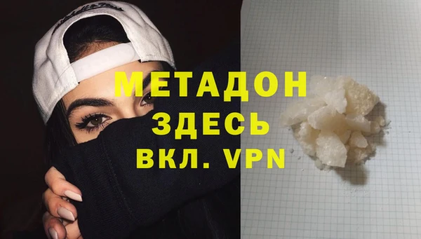 прущие грибы Приозерск