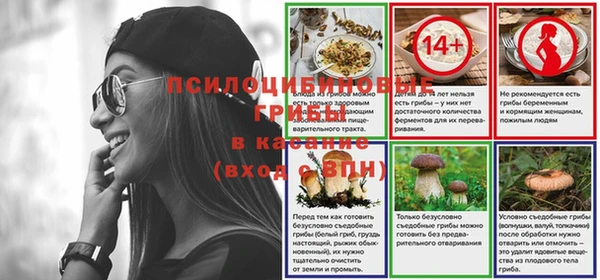 мяу мяу мука Аркадак