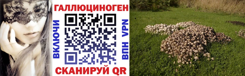 сколько стоит  Козьмодемьянск  Псилоцибиновые грибы GOLDEN TEACHER 